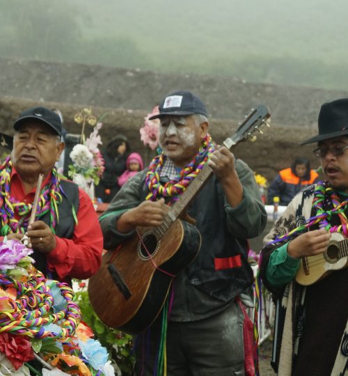 Carnaval009